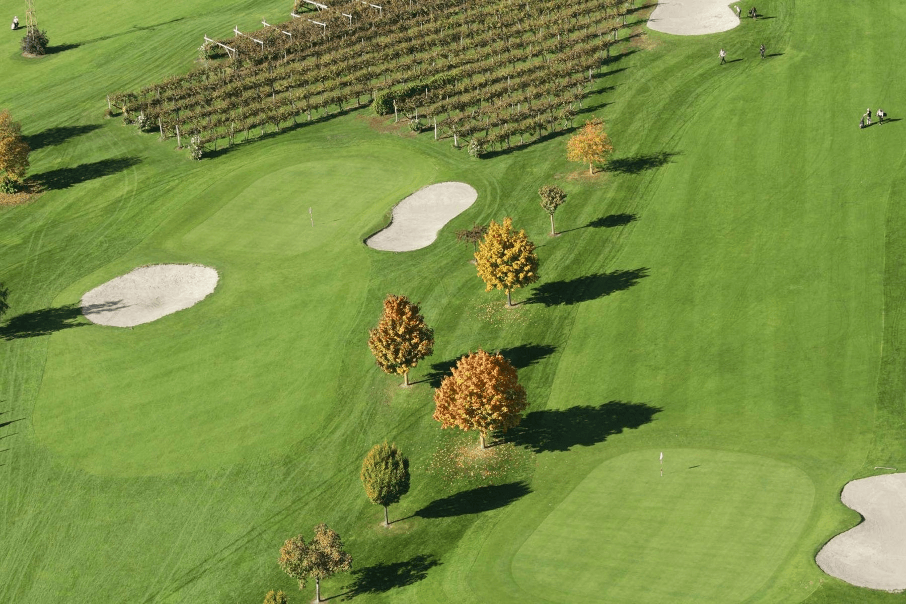 Fine dining with mountain views